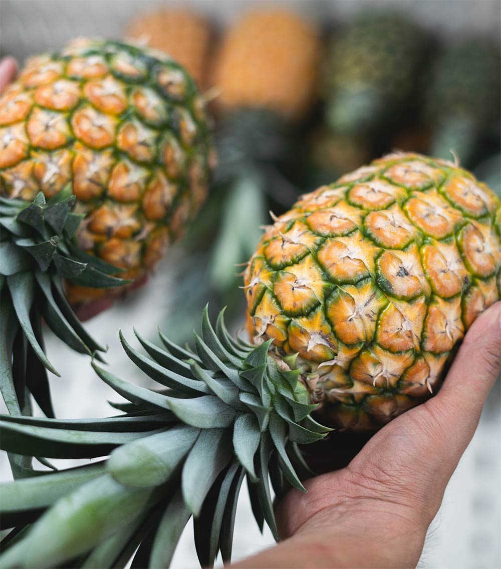 Tepache Sazón Fresh Mexican pineapples